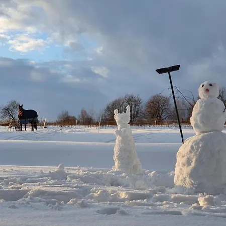 Dom Podroznika ゲストハウス Maniowy