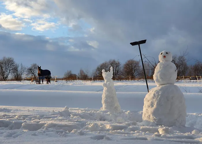 Dom Podroznika Affittacamere Maniowy