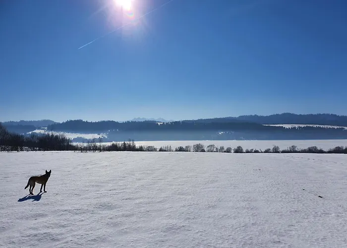 Dom Podroznika Maniowy