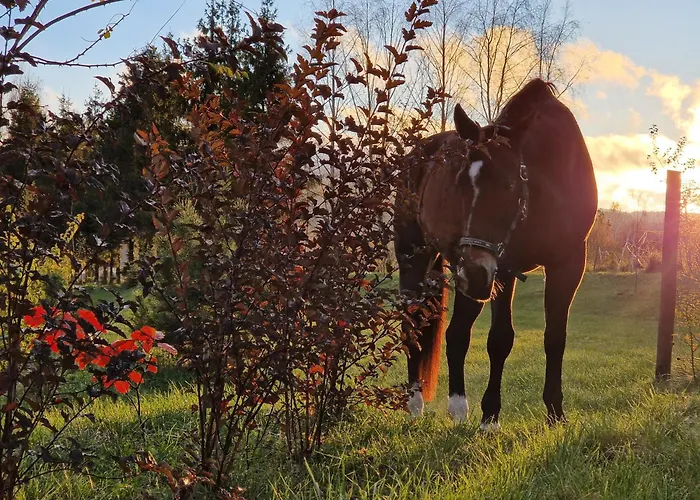 Dom Podroznika بيت ضيافة