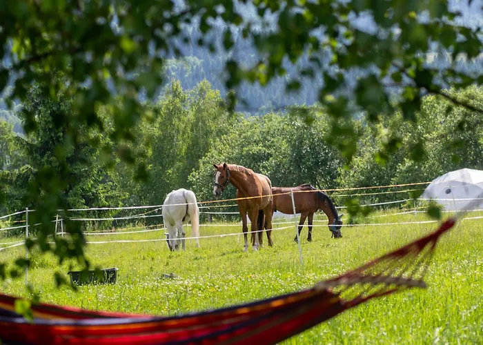 Dom Podroznika Maniowy